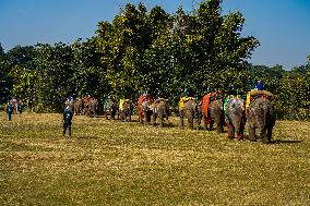 The Elephant Festival At Sauraha, Chitwan, Nepal.