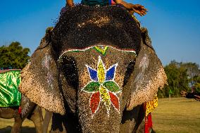 The Elephant Festival At Sauraha, Chitwan, Nepal.