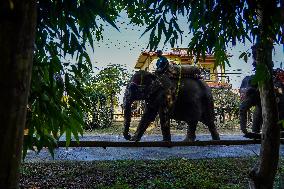 The Elephant Festival At Sauraha, Chitwan, Nepal.