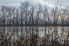 Canada Geese At The Oxbow Nature Conservancy