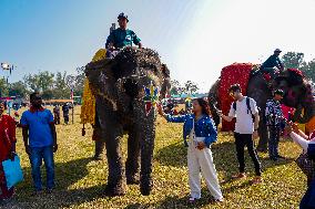 The Elephant Festival At Sauraha, Chitwan, Nepal.