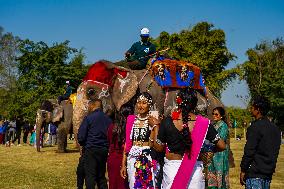 The Elephant Festival At Sauraha, Chitwan, Nepal.