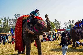 The Elephant Festival At Sauraha, Chitwan, Nepal.