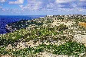 Dingli Cliffs, Malta