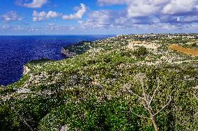 Dingli Cliffs, Malta