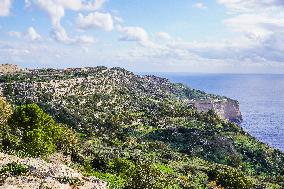 Dingli Cliffs, Malta