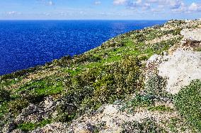 Dingli Cliffs, Malta