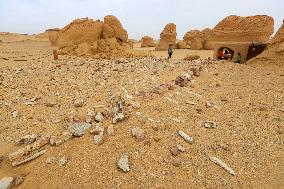 World Heritage Site Whale Valley - Egypt