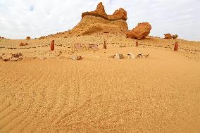 World Heritage Site Whale Valley - Egypt