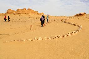 World Heritage Site Whale Valley - Egypt