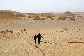 World Heritage Site Whale Valley - Egypt