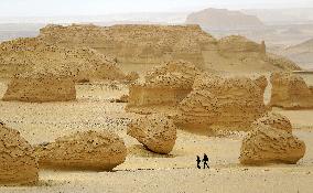 World Heritage Site Whale Valley - Egypt