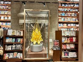 TSUTAYA BOOKSTORE in Shanghai