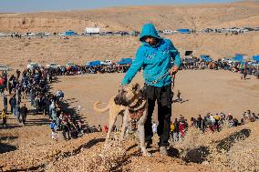 Dogfight Competition - Azerbaijan