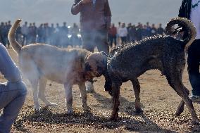 Dogfight Competition - Azerbaijan