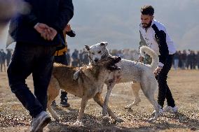 Dogfight Competition - Azerbaijan