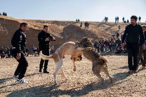 Dogfight Competition - Azerbaijan