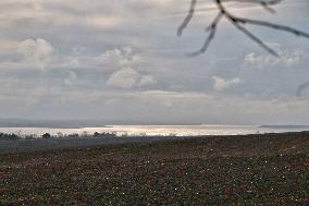 Lake Yalpuh in Odesa region