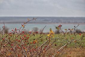 Lake Yalpuh in Odesa region