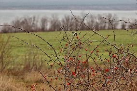 Lake Yalpuh in Odesa region