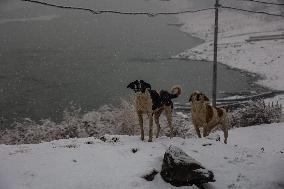 Heavy Snowfall In Kashmir