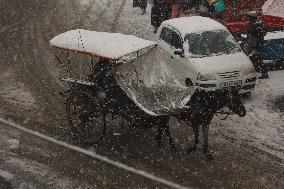 Heavy Snowfall In Kashmir