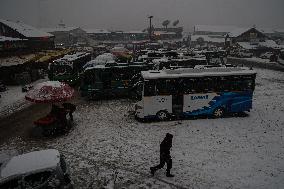 Snowfall In Kashmir