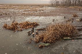 Water Bodies Freezed In Kashmir