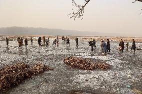 Cold Weather In Kashmir