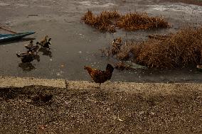 Water Bodies Freezed In Kashmir