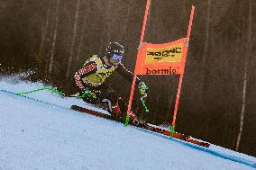 SPORT INVERNALI - Sci Alpino - AUDI FIS Ski World Cup - Downhill Training - Men