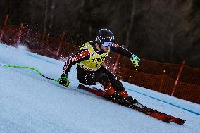 SPORT INVERNALI - Sci Alpino - AUDI FIS Ski World Cup - Downhill Training - Men