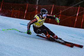 SPORT INVERNALI - Sci Alpino - AUDI FIS Ski World Cup - Downhill Training - Men