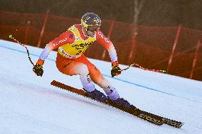 SPORT INVERNALI - Sci Alpino - AUDI FIS Ski World Cup - Downhill Training - Men