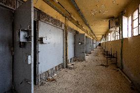 Inside the Prison of Sednaya - Damascus