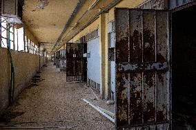 Inside the Prison of Sednaya - Damascus