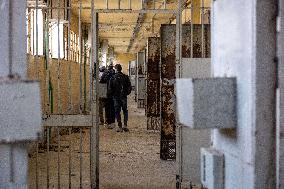 Inside the Prison of Sednaya - Damascus