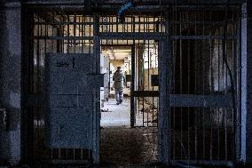 Inside the Prison of Sednaya - Damascus