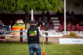 Herding Dog Competition