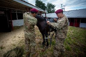 Cuadro Negro Of The Chilean Army