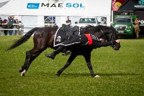 Cuadro Negro Of The Chilean Army