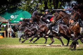 Cuadro Negro Of The Chilean Army