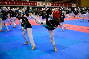 Taekwondo Winter Training Camp In Madrid, Spain