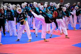 Taekwondo Winter Training Camp In Madrid, Spain