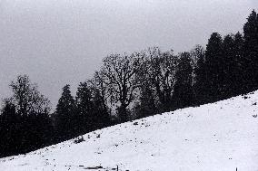 Snow Fall In Himachal Pradesh