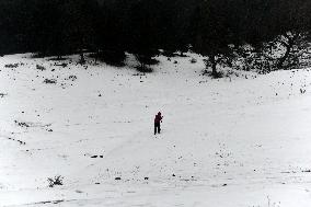 Snow Fall In Himachal Pradesh