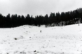 Snow Fall In Himachal Pradesh