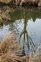 Halser Ilzschleifen Nature Reserve In Passau