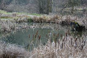 Halser Ilzschleifen Nature Reserve In Passau