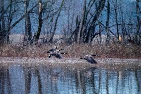 Wildlife At The Oxbow Nature Conservancy